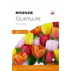 Bulbes De Tulipes McKenzie, Mélange Triumph, Paquet De 40