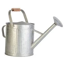 Arrosoir Vintage, Panacea, Métal 2 Ga, Galvanisé